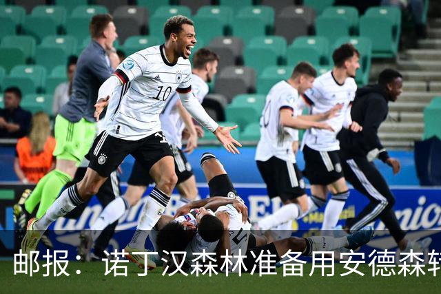 邮报：诺丁汉森林准备用安德森转会费引援，补强锋线和中场
