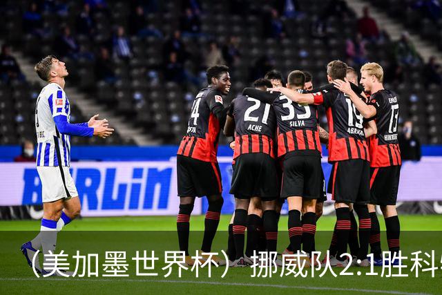（美加墨世界杯）挪威队2:1胜科特迪瓦队 时隔28年重返16强