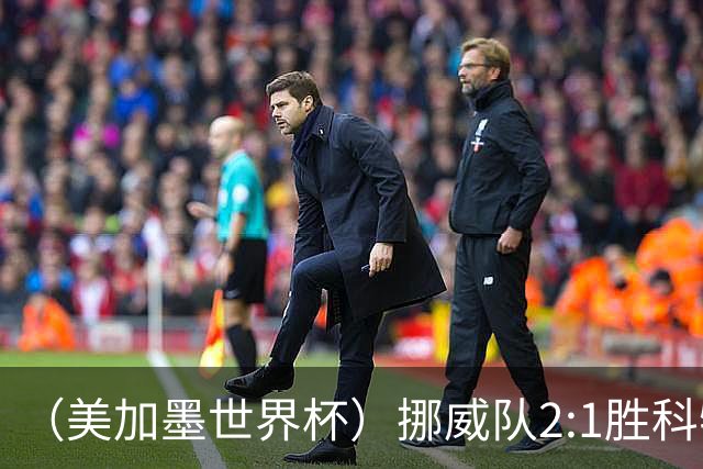 （美加墨世界杯）挪威队2:1胜科特迪瓦队 时隔28年重返16强