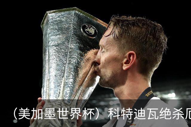 （美加墨世界杯）科特迪瓦绝杀厄瓜多尔 瑞典5:1大胜突尼斯