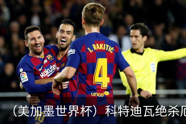 （美加墨世界杯）科特迪瓦绝杀厄瓜多尔 瑞典5:1大胜突尼斯